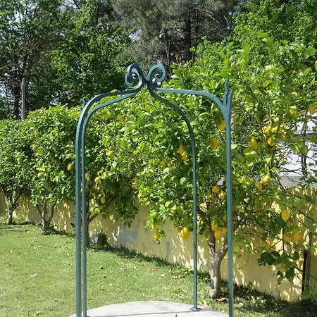 Villa Les Citronniers *